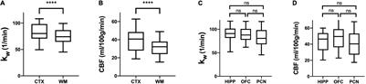 Quantitative Water Permeability Mapping of Blood-Brain-Barrier Dysfunction in Aging